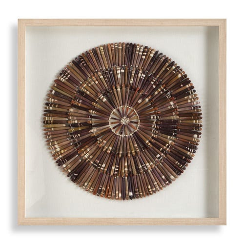 Tiger Sea Urchin Shadow Box