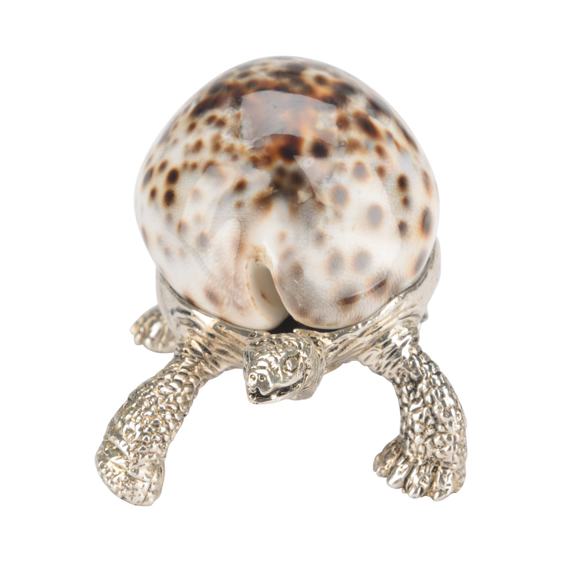 Turtle Paperweight in 2.5 / Brass - Chelsea House