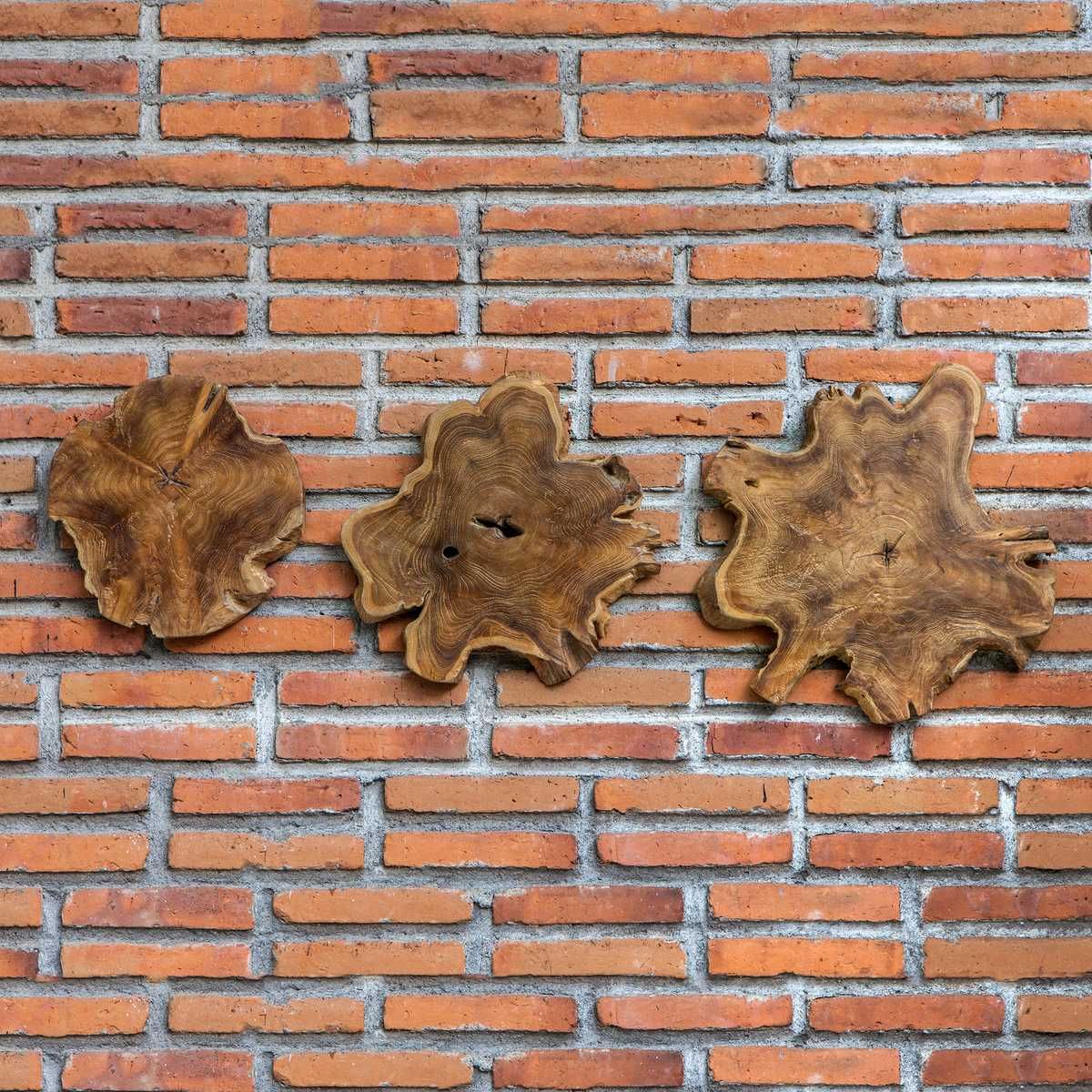 Kalani Indoor-Outdoor Wood Wall Decor, Natural, S/3 – Wall Decor by Uttermost | Sutter & Vale