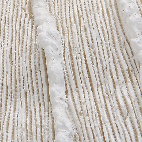 Ocean Gems Indoor-Outdoor Wall Decor, Natural, S/3 – Wall Decor by Uttermost | Sutter & Vale