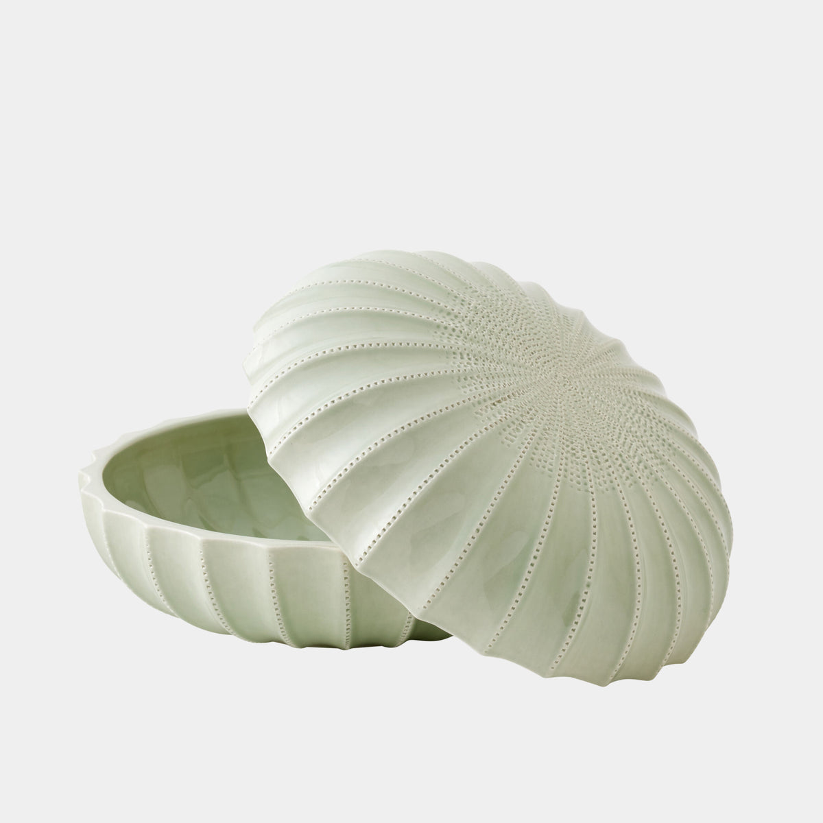Urchin Box-Seafoam
