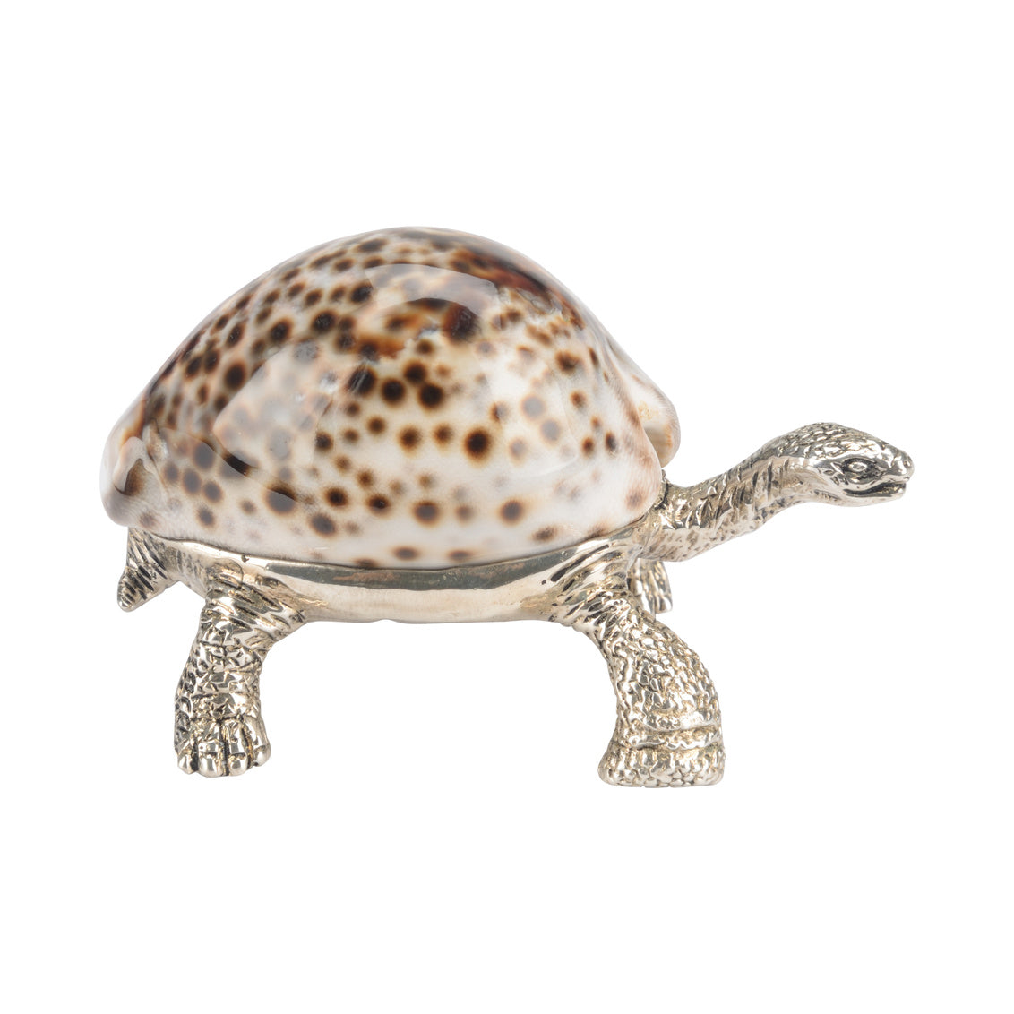 Turtle Paperweight in 2.5 / Brass - Chelsea House