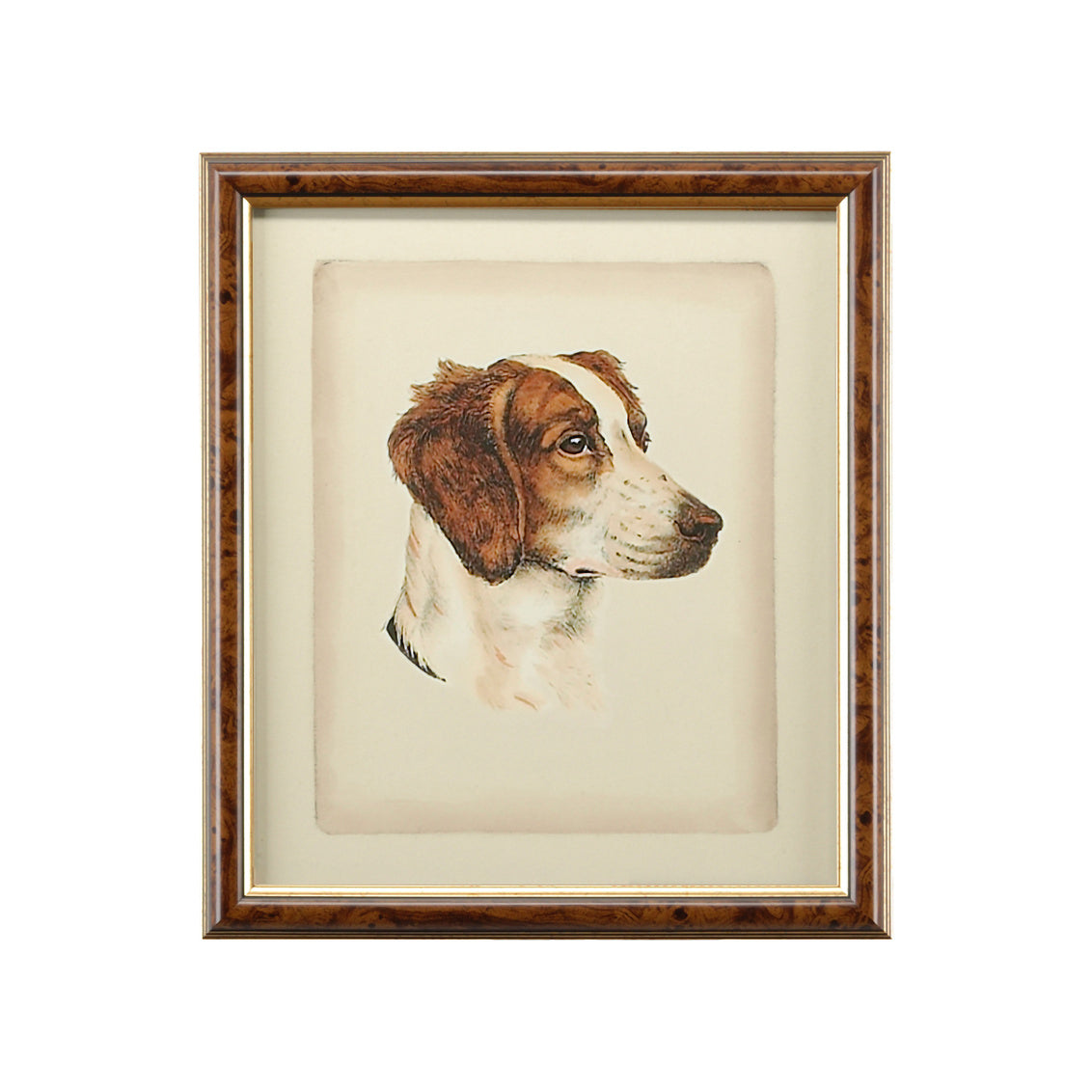 Danchin Brittany Spaniel in 18 / Wood - Chelsea House
