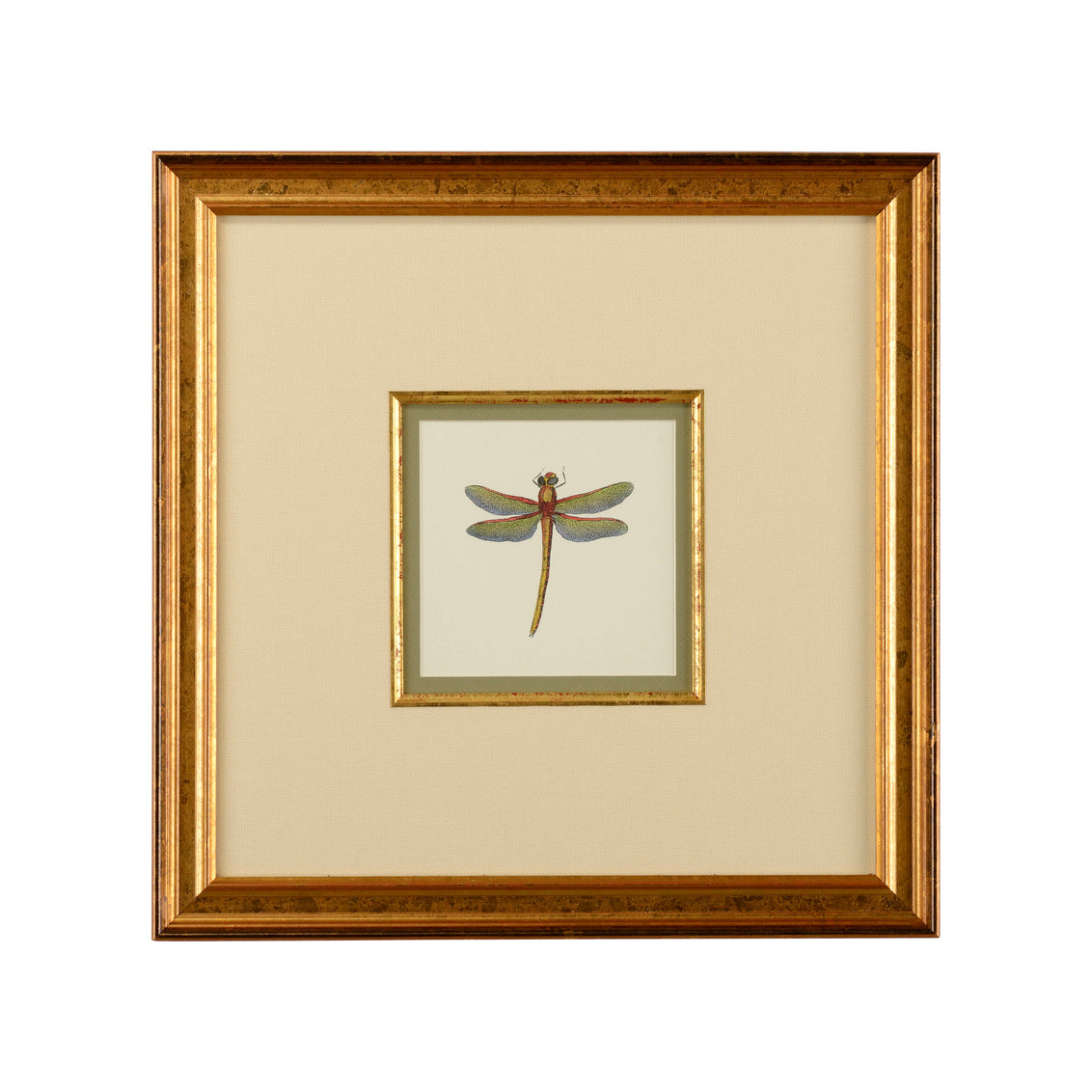 Miniature Dragonfly II in 18.5 / Giclee - Chelsea House
