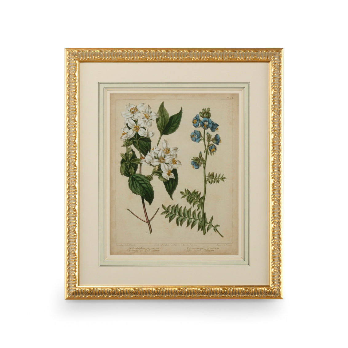 Cottage Florals I in 31 / Giclee - Chelsea House