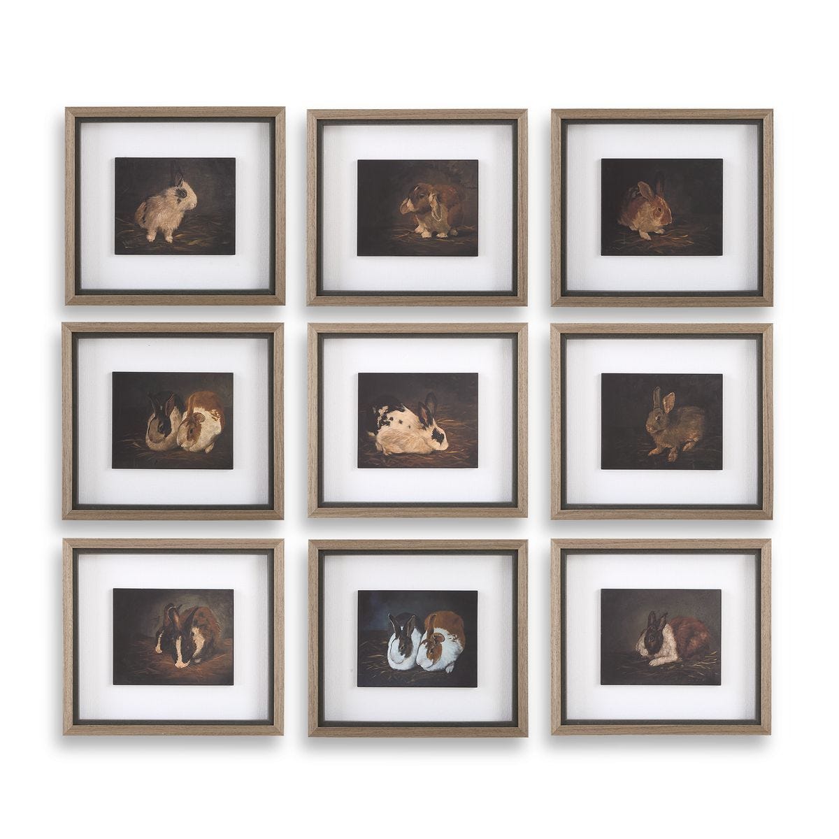 Resting Bunny Framed Prints, S/9 – Art by Uttermost | Sutter & Vale