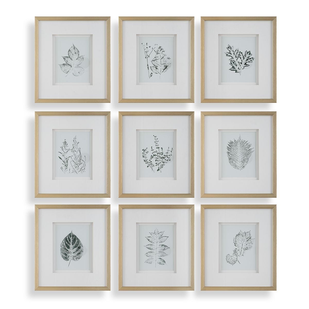 Nature's Script Framed Prints, S/9 – Art by Uttermost | Sutter & Vale