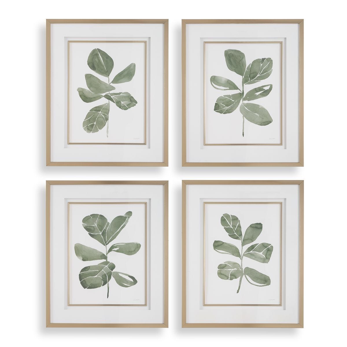 Fiddle Head Leaf Framed Prints, S/4 – Art by Uttermost | Sutter & Vale