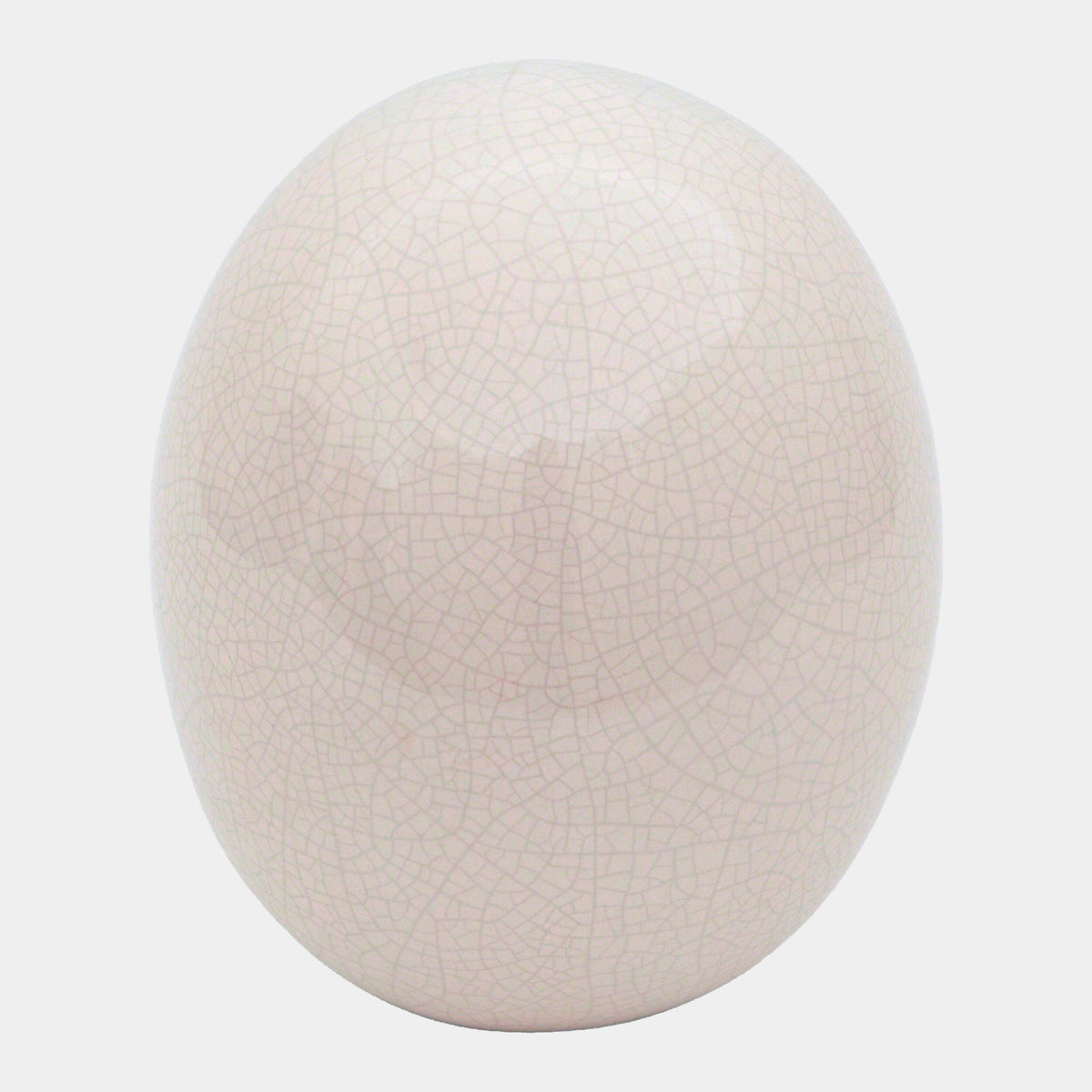 Ostrich Egg