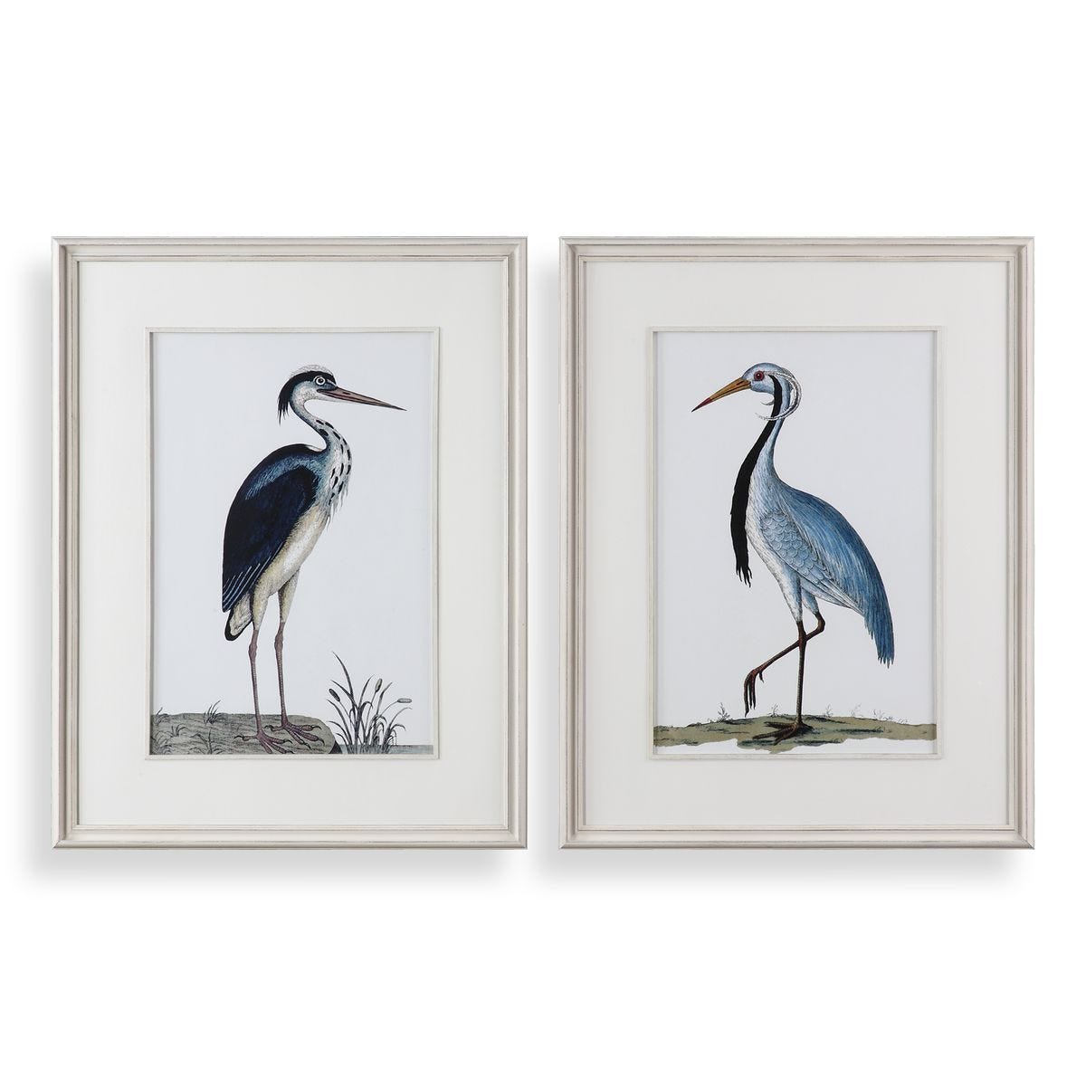 Shore Birds Framed Prints, S/2 – Art by Uttermost | Sutter & Vale