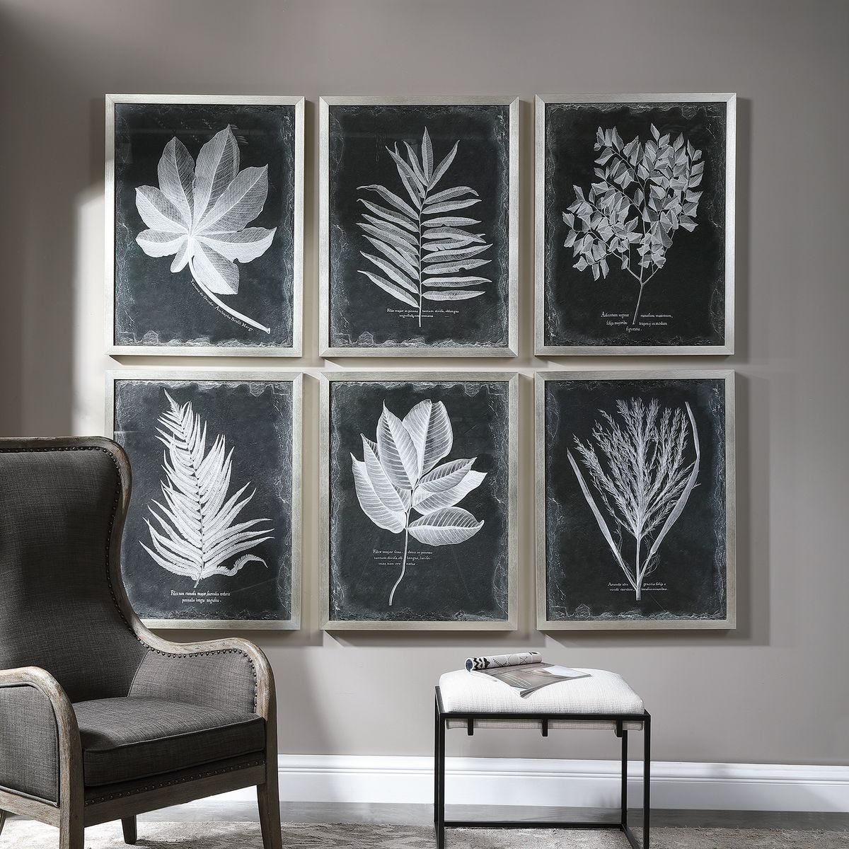 Foliage Framed Prints, S/6 – Art by Uttermost | Sutter & Vale