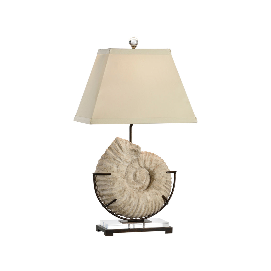 Ammonite Lamp