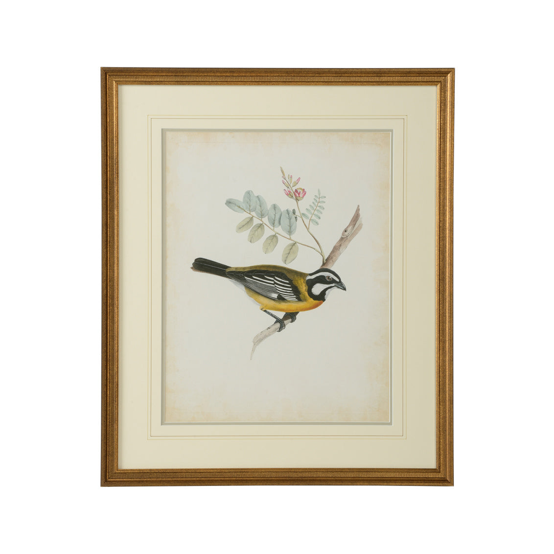 Delicate Birds V in 26 / Giclee - Chelsea House