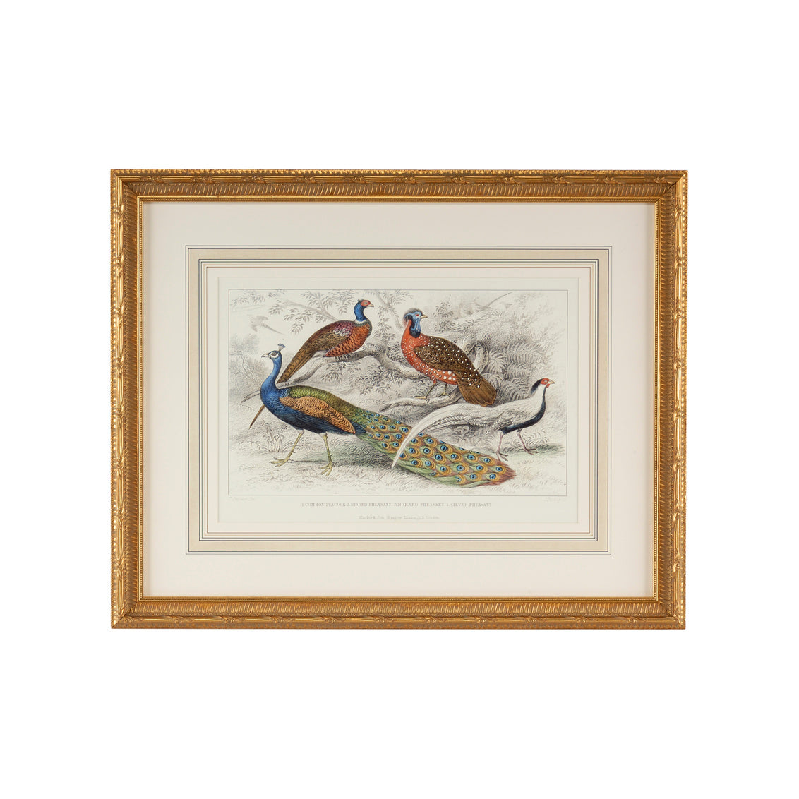 Peacock & Pheasants in 21.75h x 27.25w x 1.5d / Wood - Chelsea House