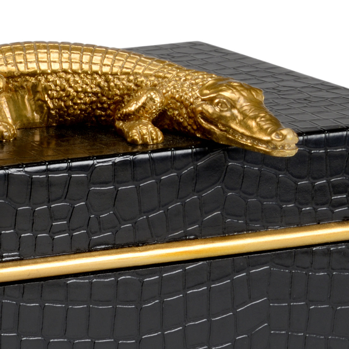 Alligator Box - Black in 8 / Wood - Chelsea House