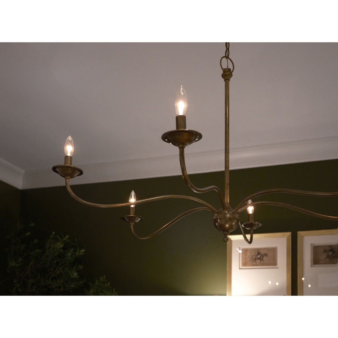 Palm Court Chandelier