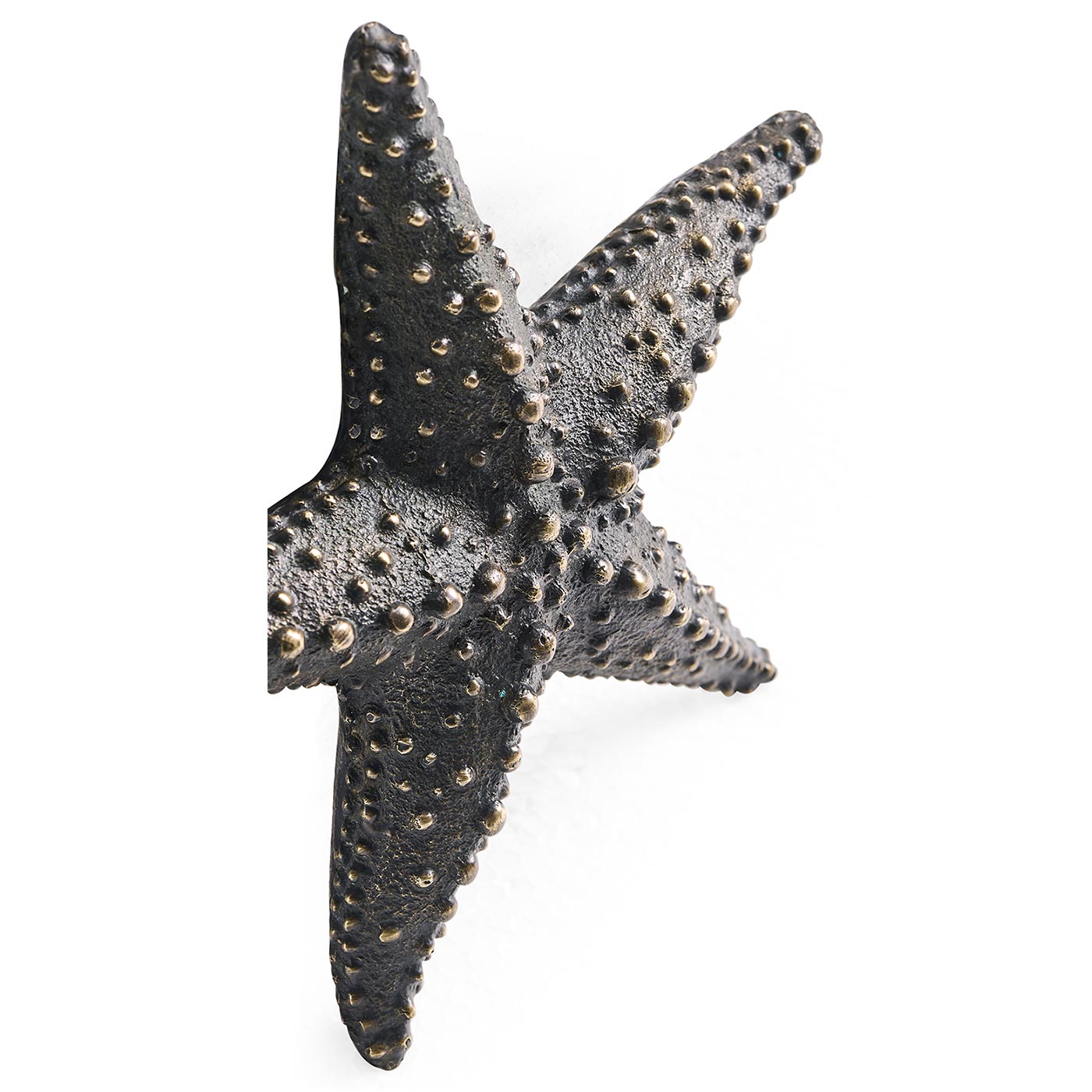 Dark Bronze Starfish