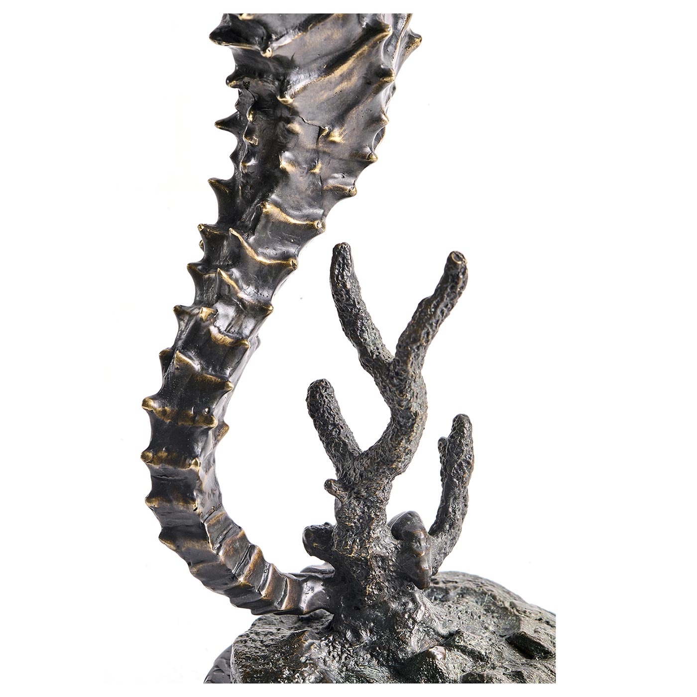Antique Dark Bronze Seashorse