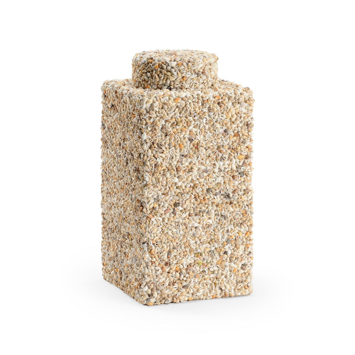 Tea Caddy - Shells in Natural Nassa / Shell - Chelsea House