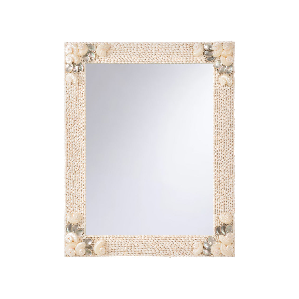 Sarasota Mirror