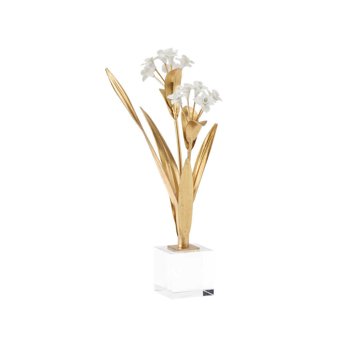 Paperwhite Narcissus in 16 / Porcelain - Chelsea House