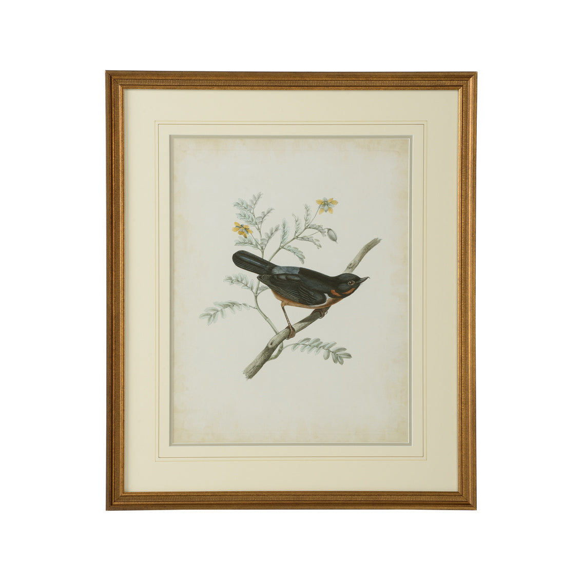 Delicate Birds III in 26 / Giclee - Chelsea House