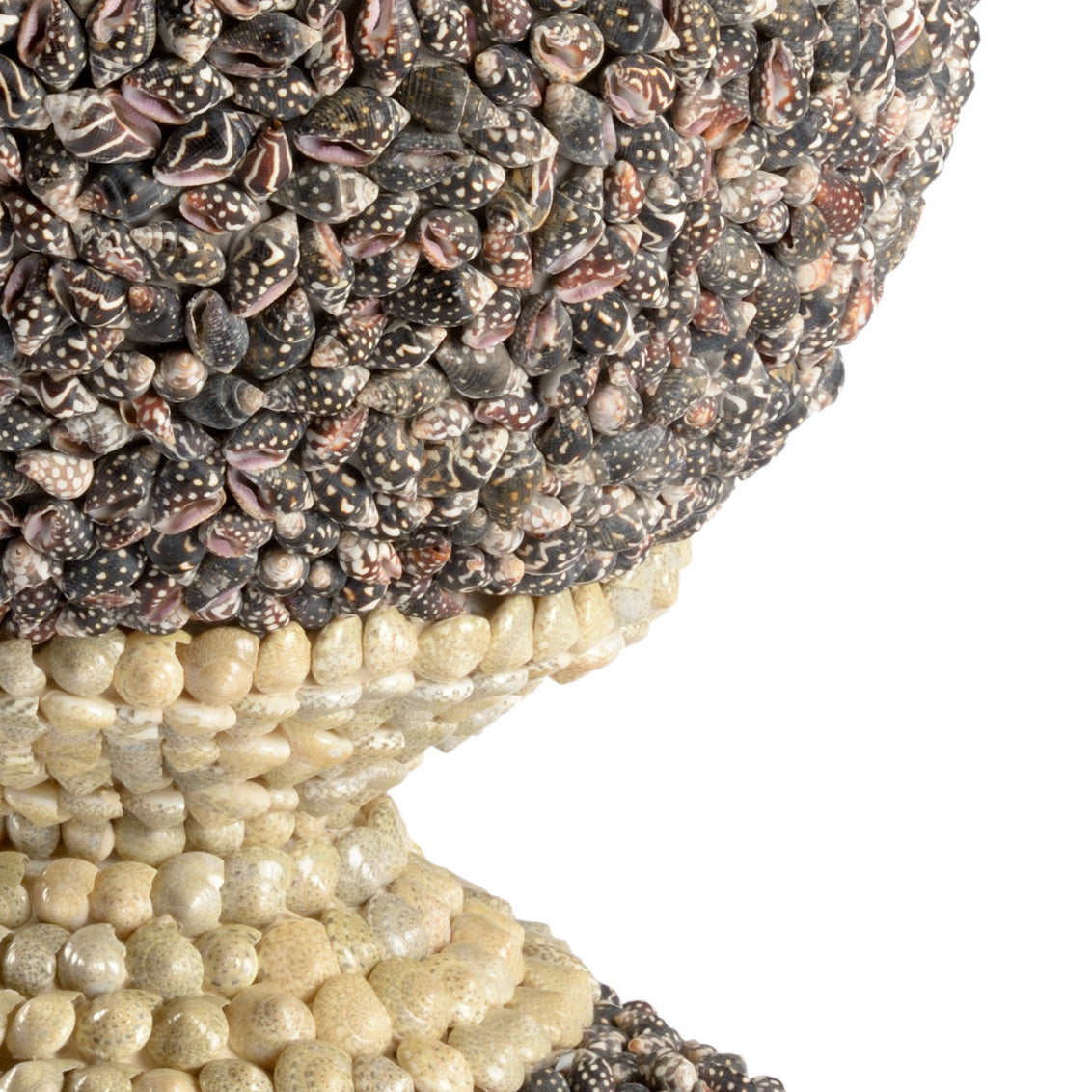 Multicolor Shell Finial in 12.5 / Shell - Chelsea House