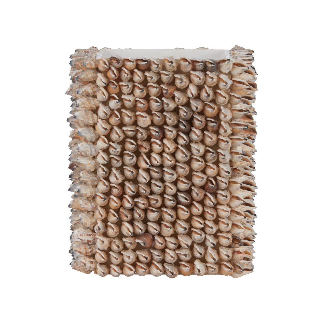 Shell Planter