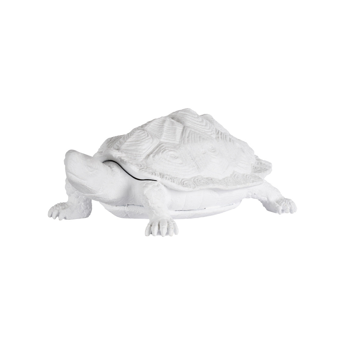 Turtle - White in White / Metal - Chelsea House