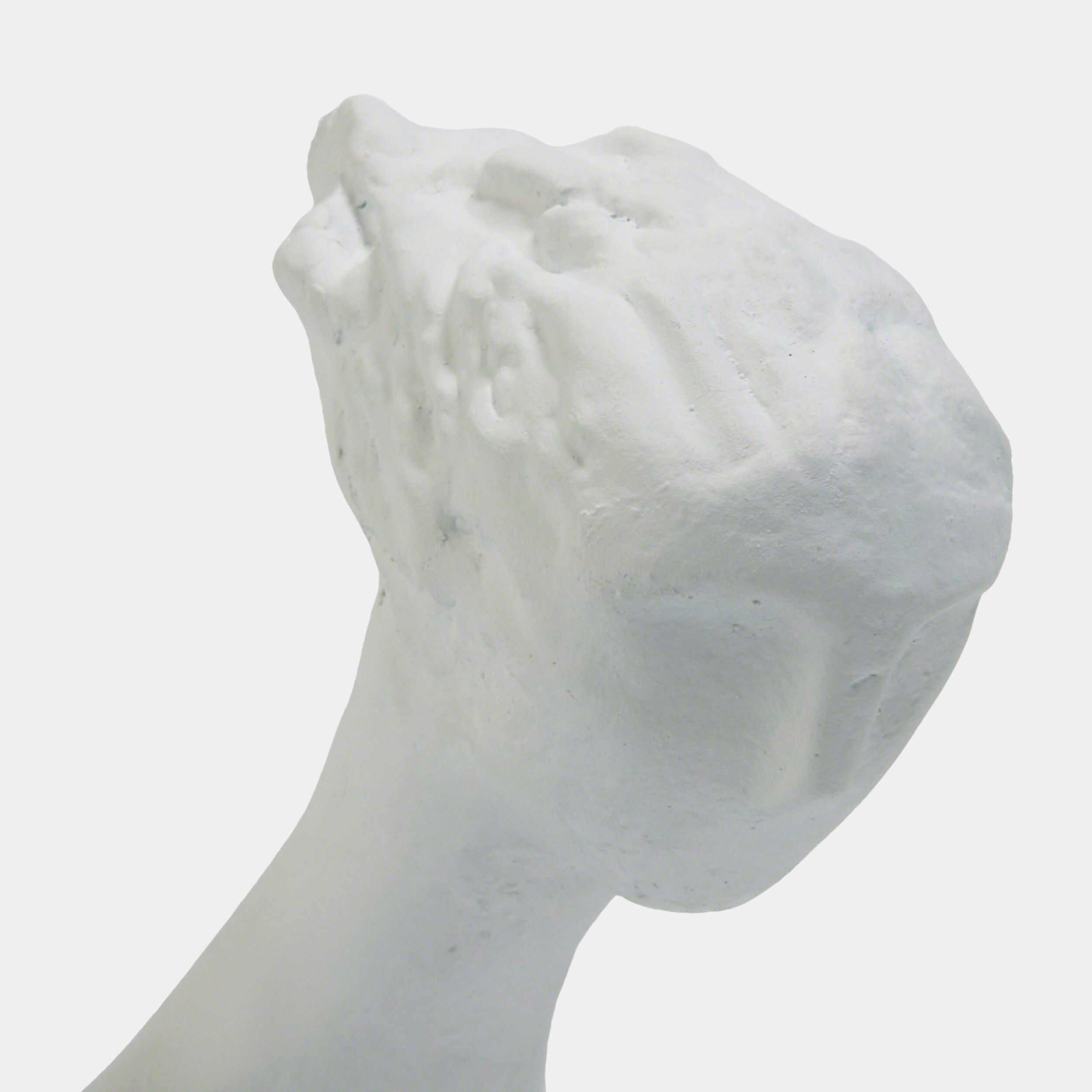 La Femme Baignoire-White