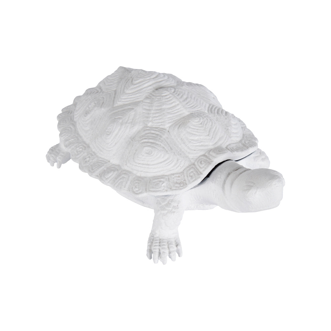 Turtle - White in White / Metal - Chelsea House