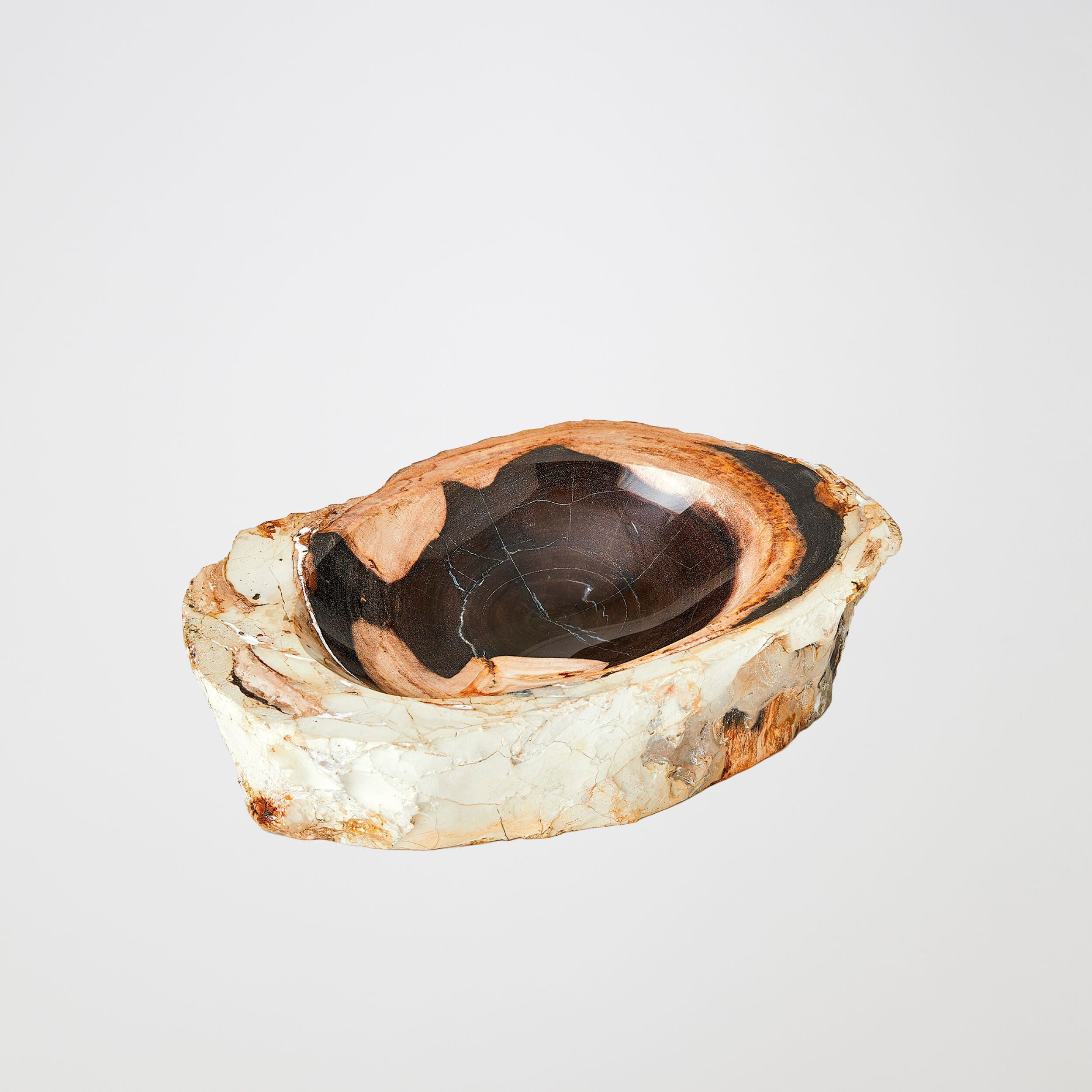 Petrified Wooden Bowl-Beige/Black