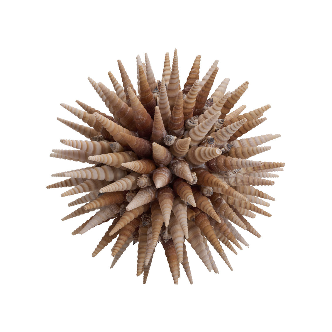 Marlin Shell Ball (Lg) in 10 / Shell - Chelsea House