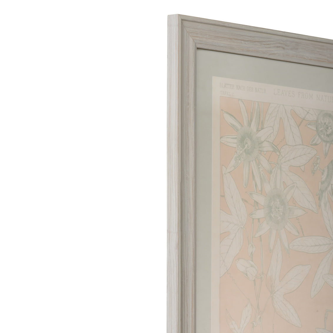 Leaves From Nature No.10 in 29 / Wood - Chelsea House