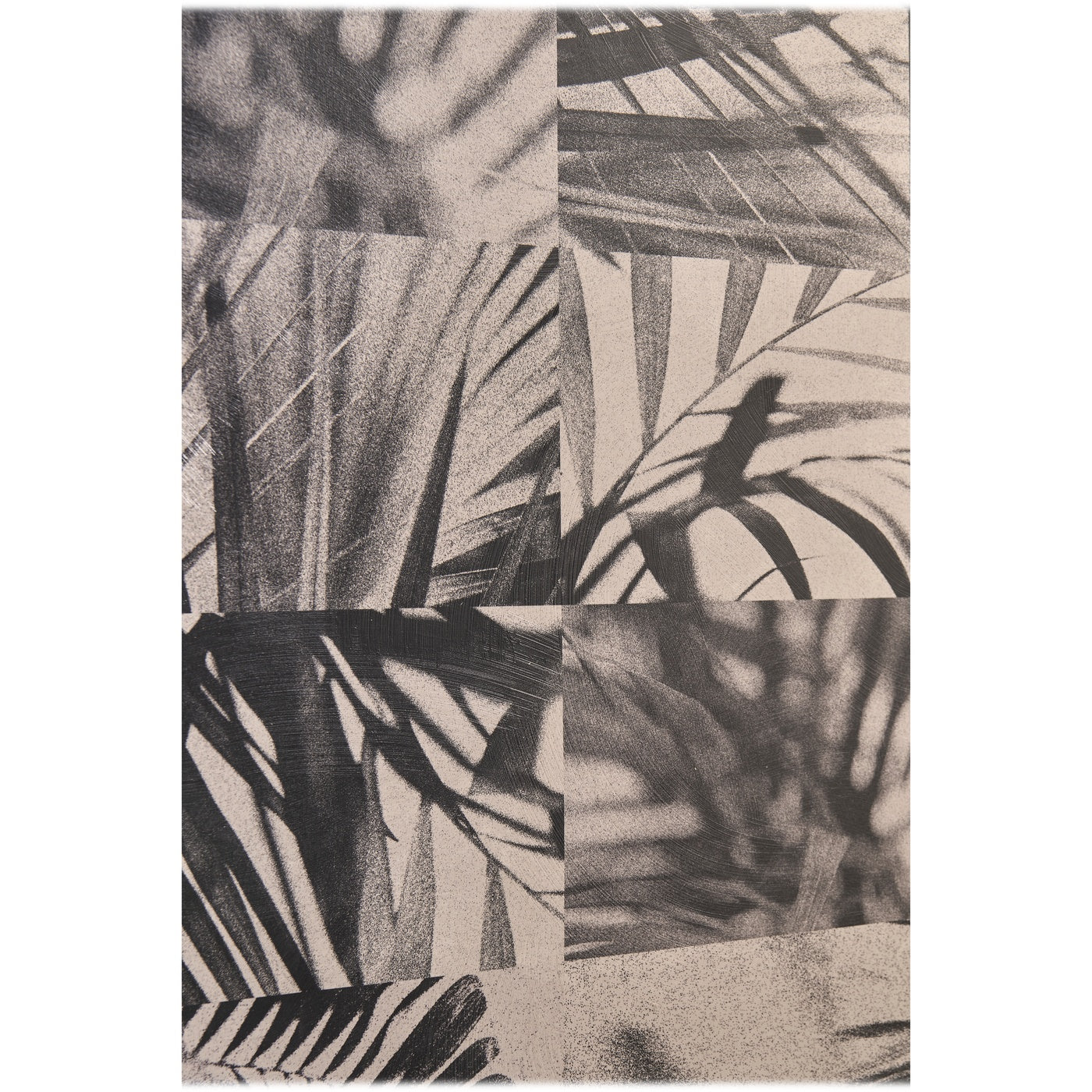 Palm Shadow