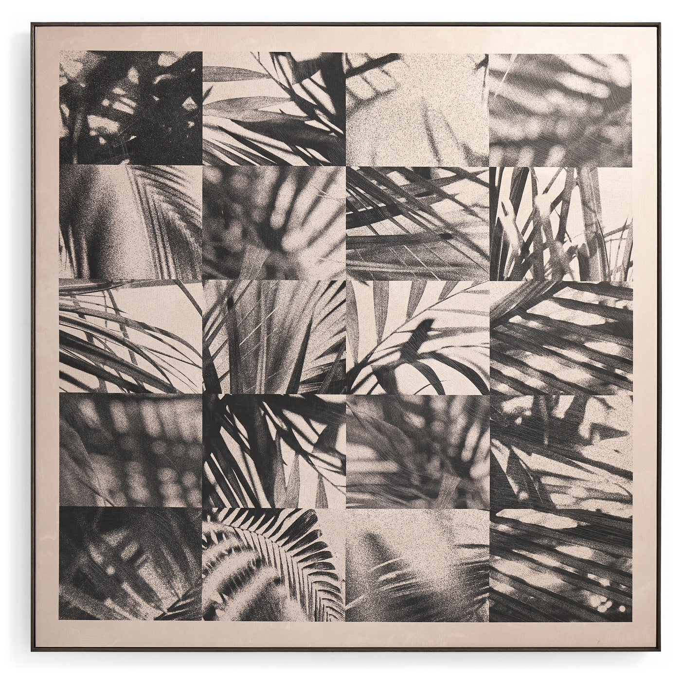 Palm Shadow