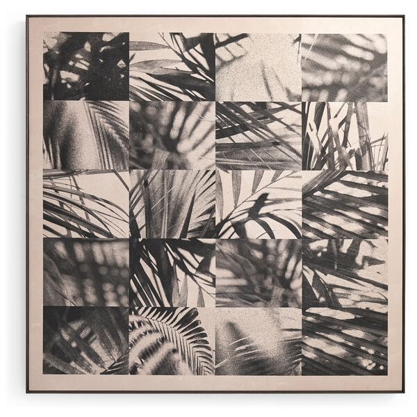 Palm Shadow