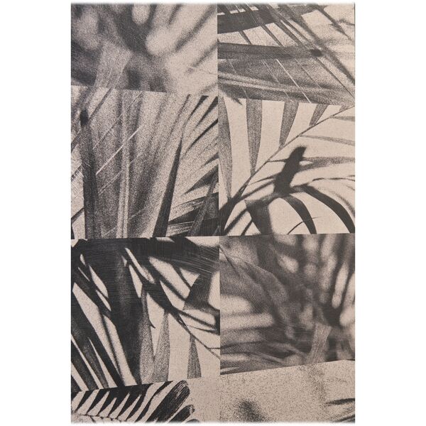 Palm Shadow