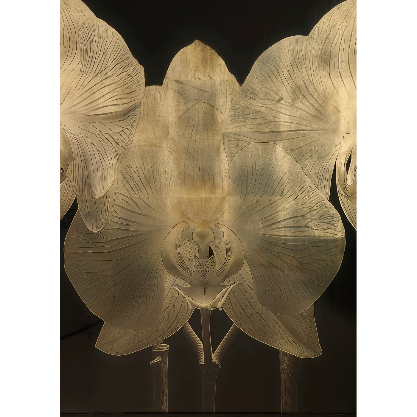 Gold Orchid