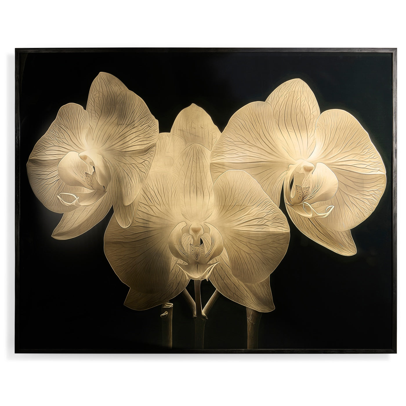 Gold Orchid
