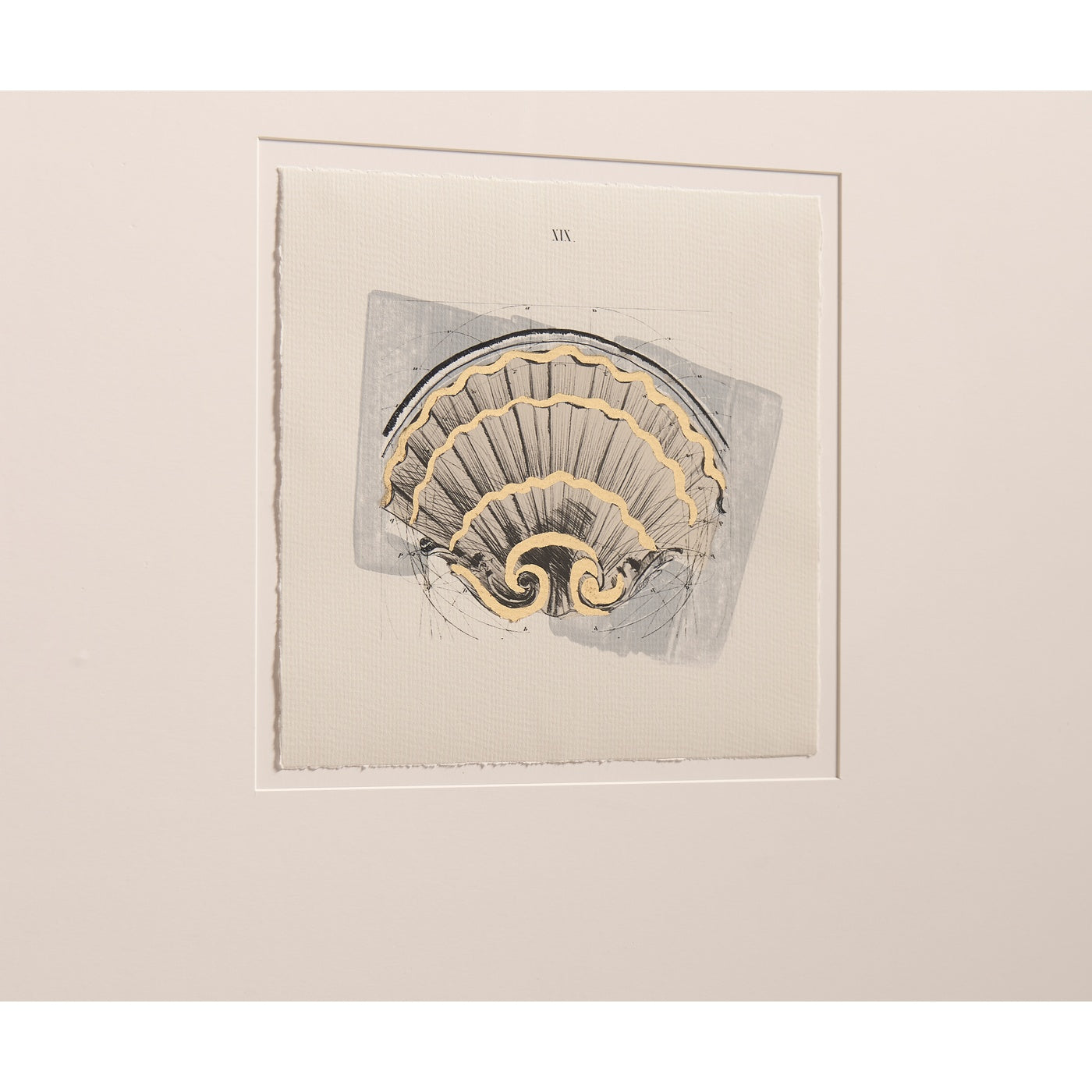 Architectural Clamshells - Set of 4