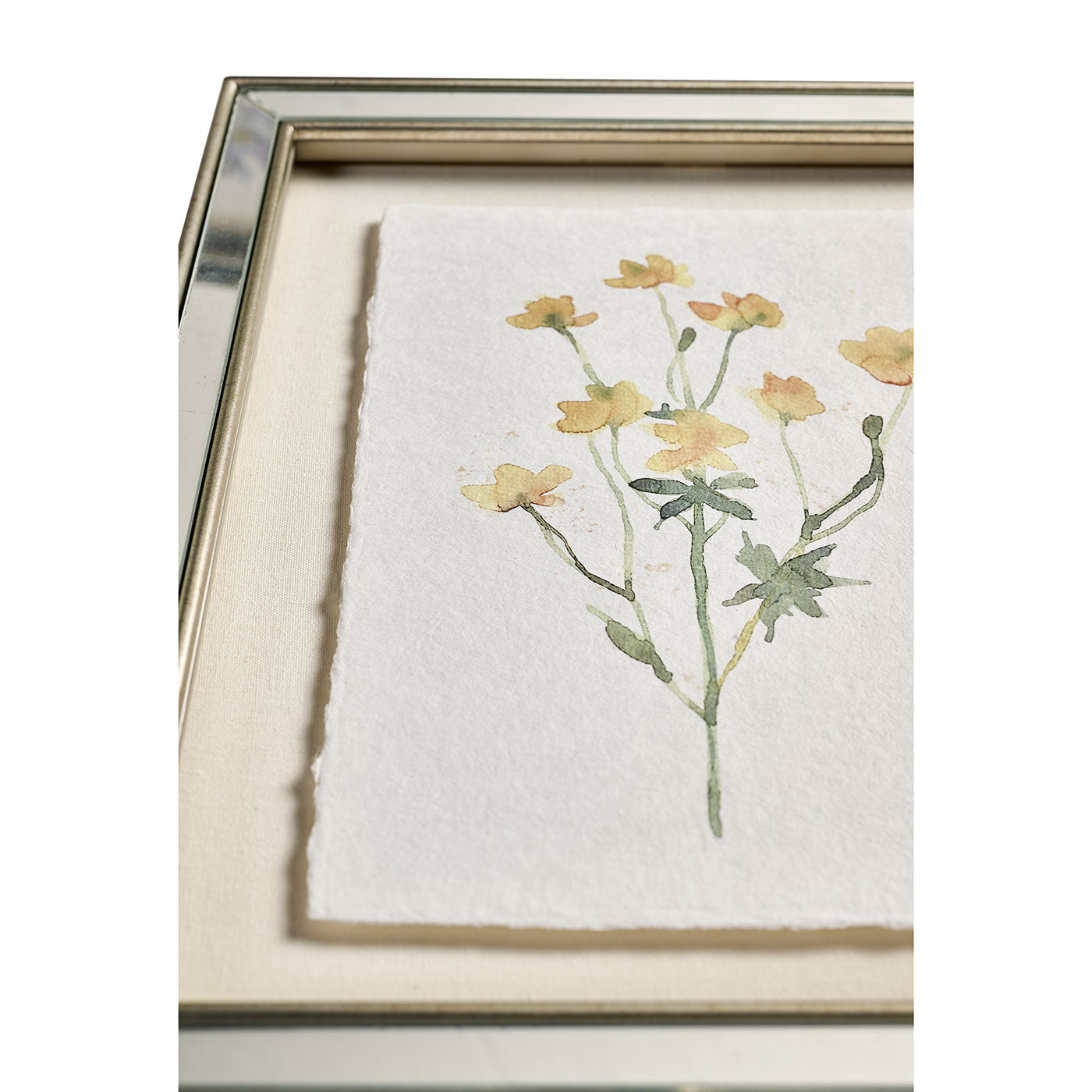 Petals and Process - Set of 6