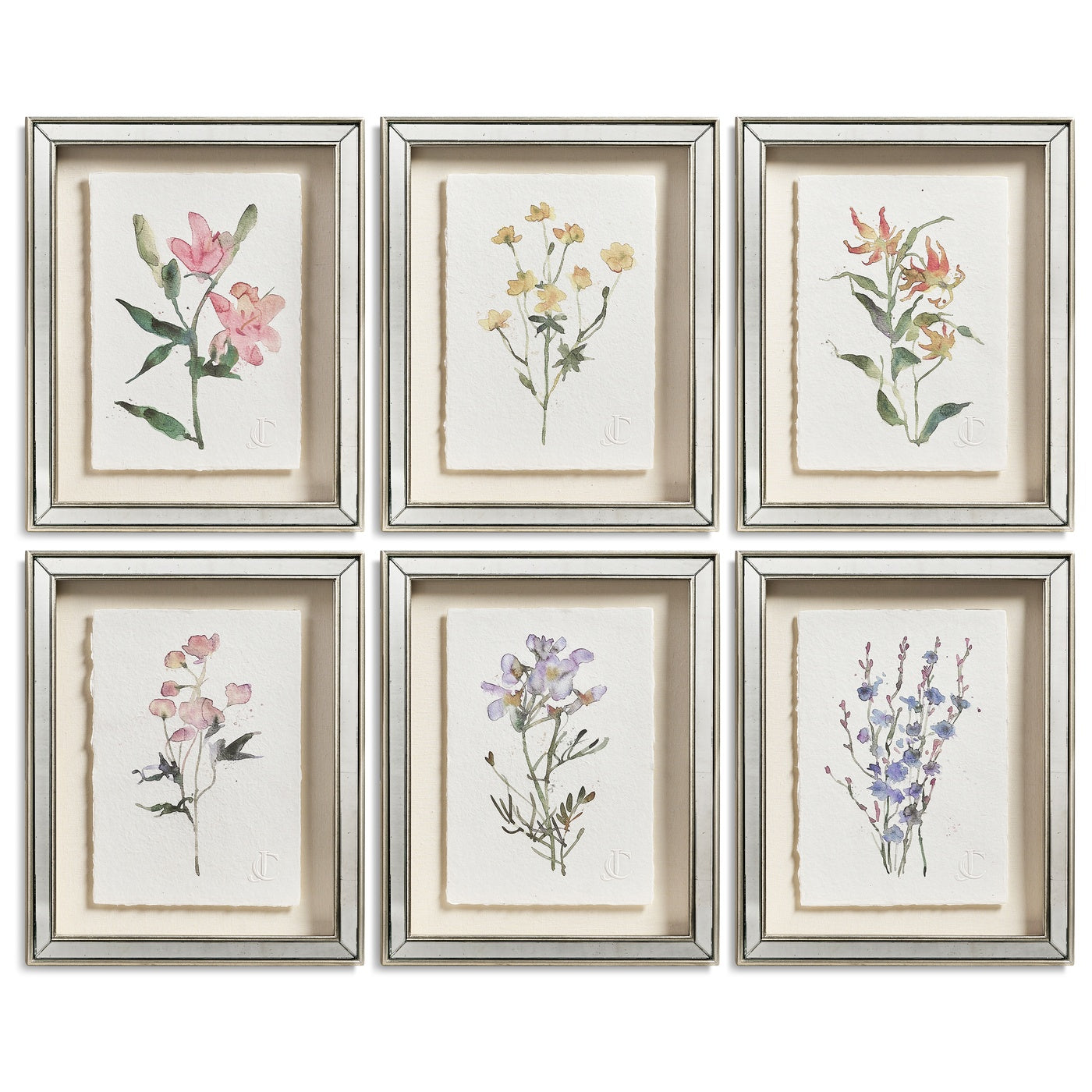 Petals and Process - Set of 6