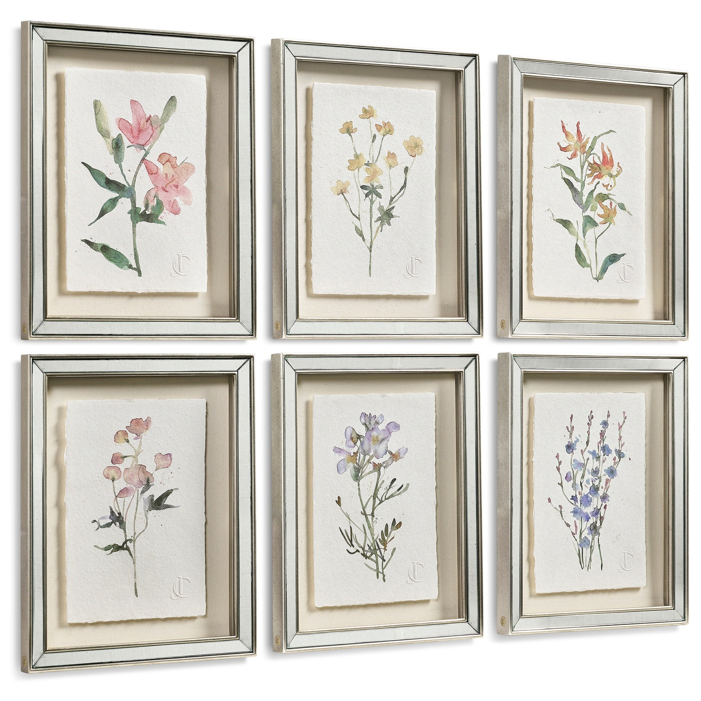 Petals and Process - Set of 6