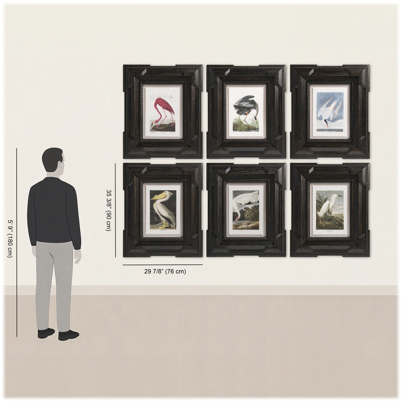 Audubon Birds - Set of 6