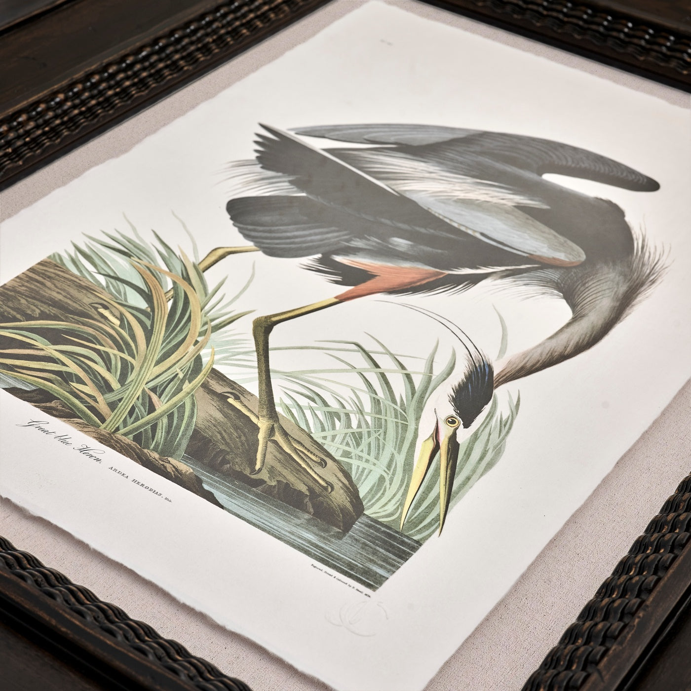 Audubon Birds - Set of 6