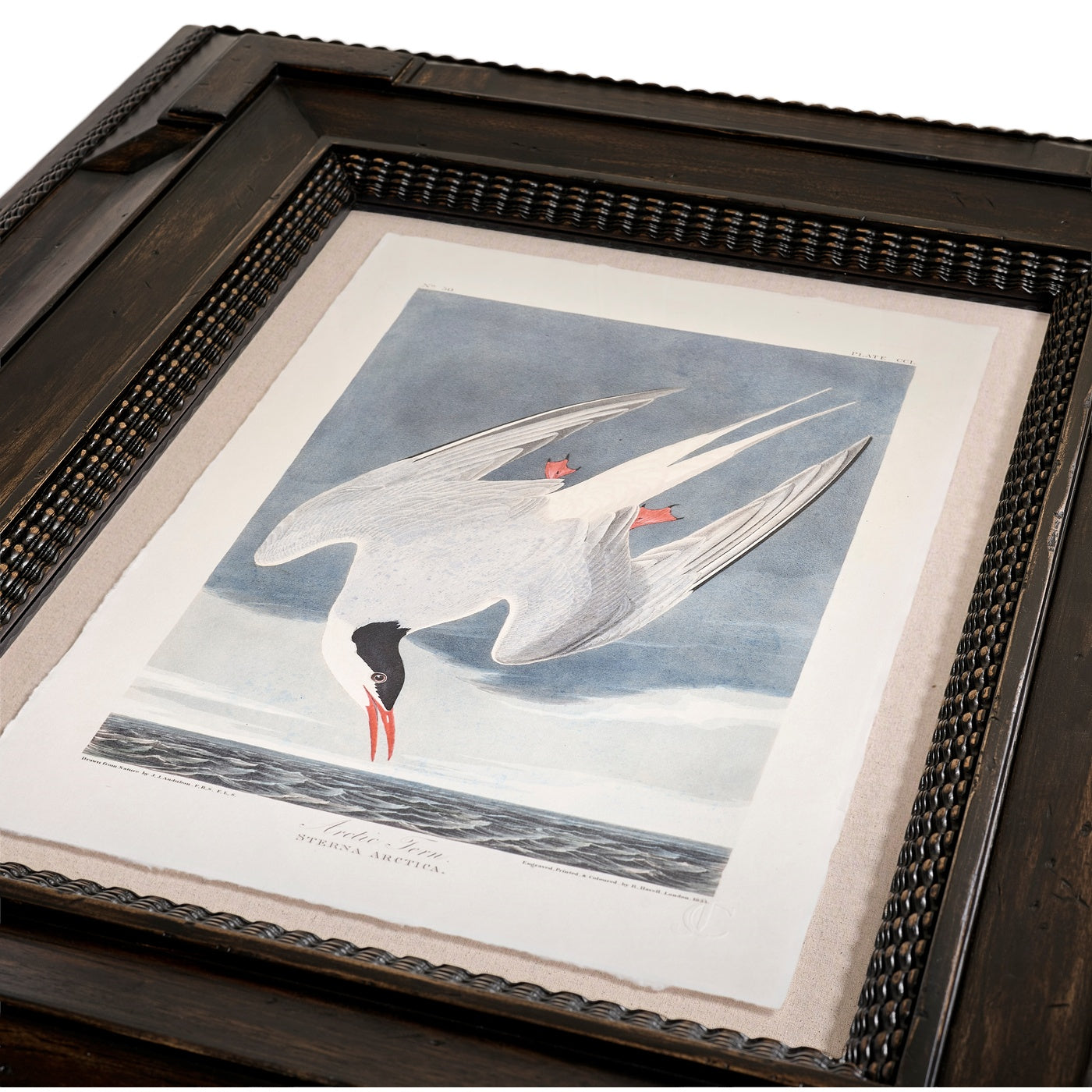 Audubon Birds - Set of 6