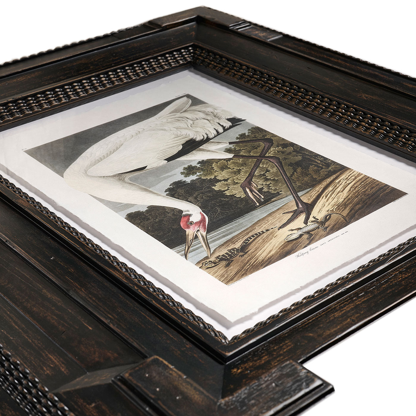 Audubon Birds - Set of 6