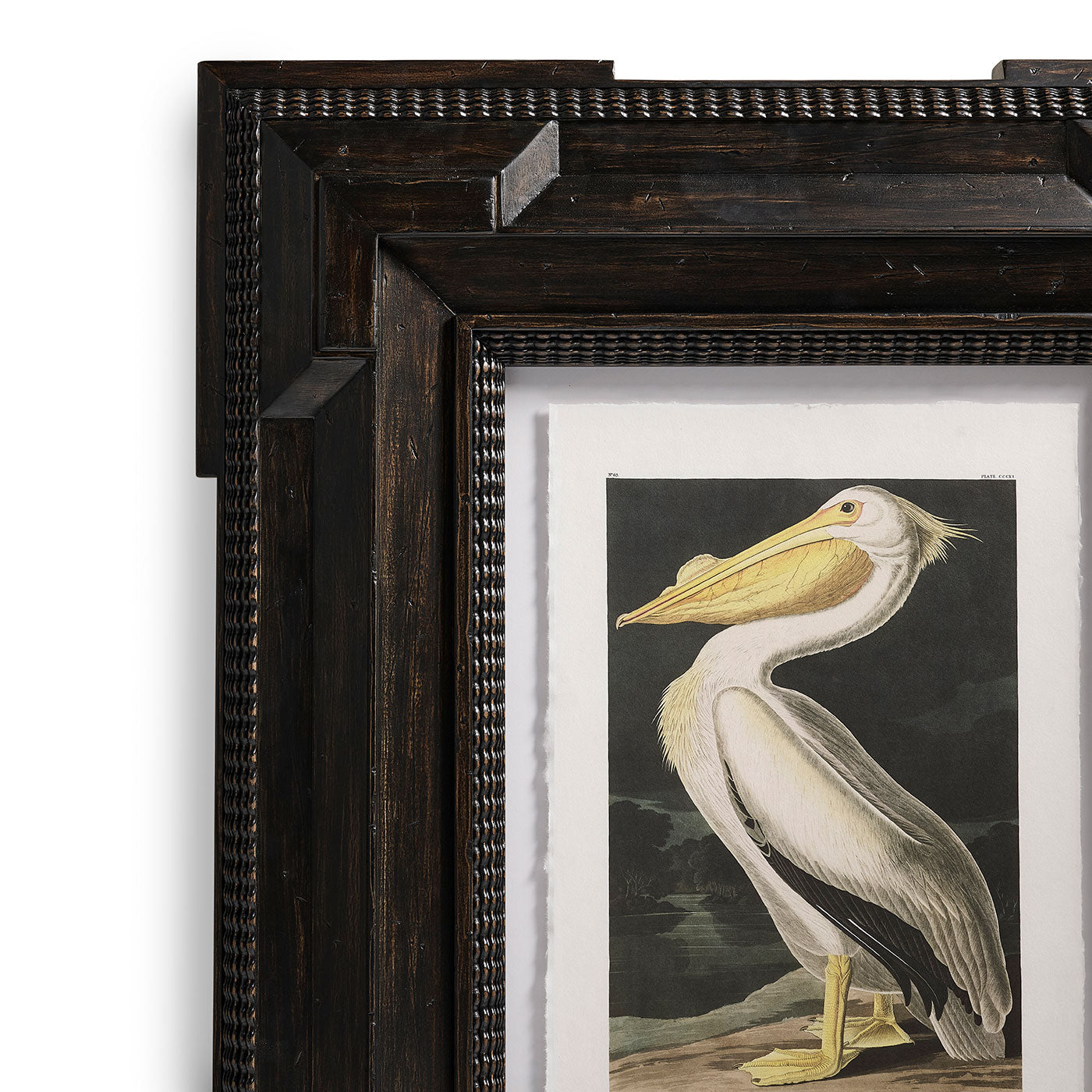 Audubon Birds - Set of 6