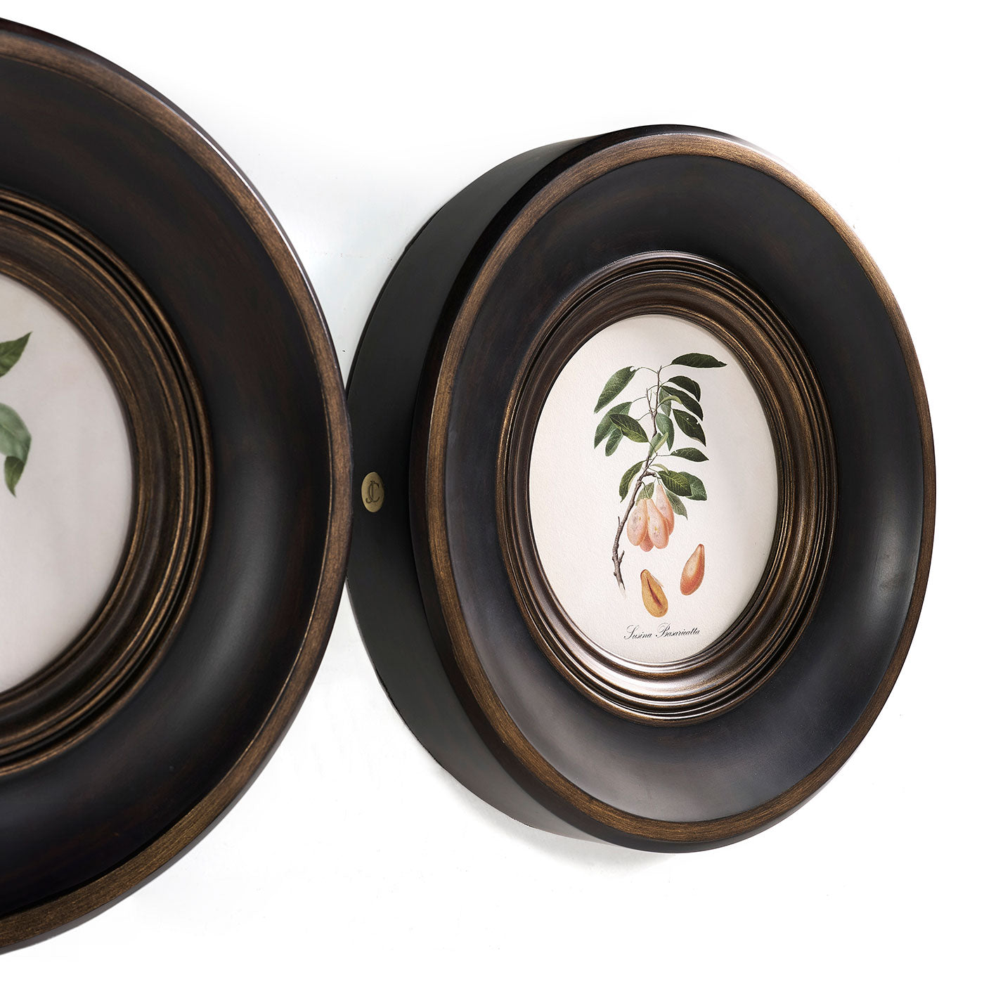 Vintage Fruit No. 1 - Set of 4